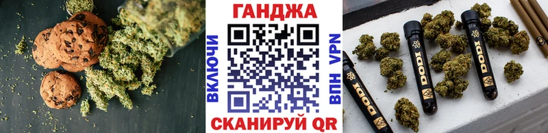 Купить где  Волгореченск  Canna-Cookies конопля 